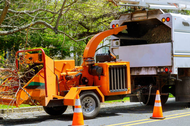 Lawn Drainage Solutions in Ingleside, TX