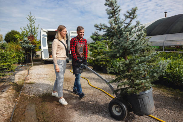 Best Tree Disease Treatment  in Ingleside, TX